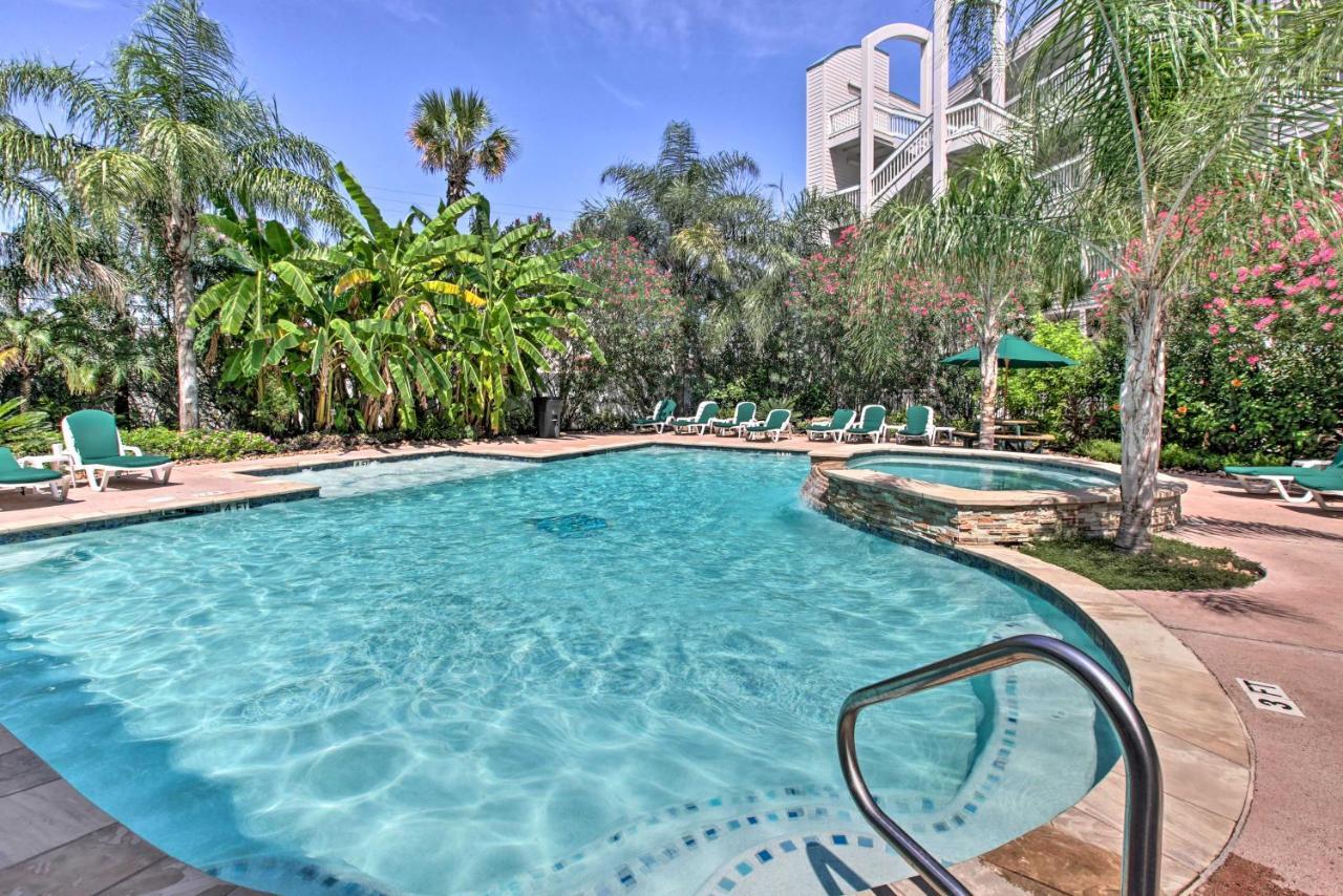 Galveston Condo With Oceanfront Views And 2 Pools Zewnętrze zdjęcie